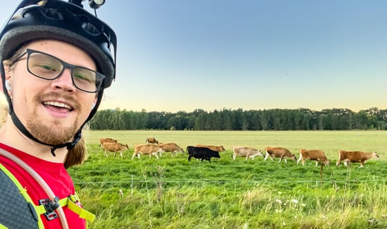 a selfie of Carter Pape and some cows, taken in the middle of a bike ride